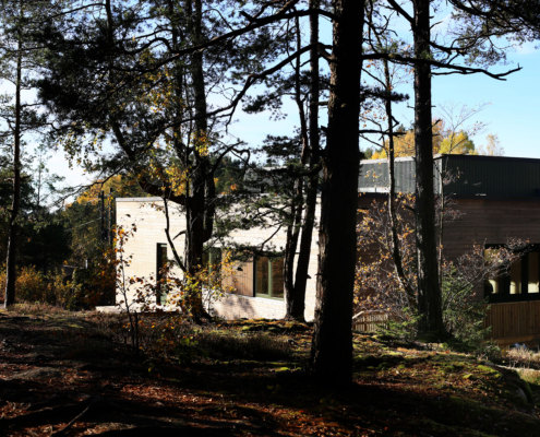 Enebolig omsorgsbolig trekledning Planjja
